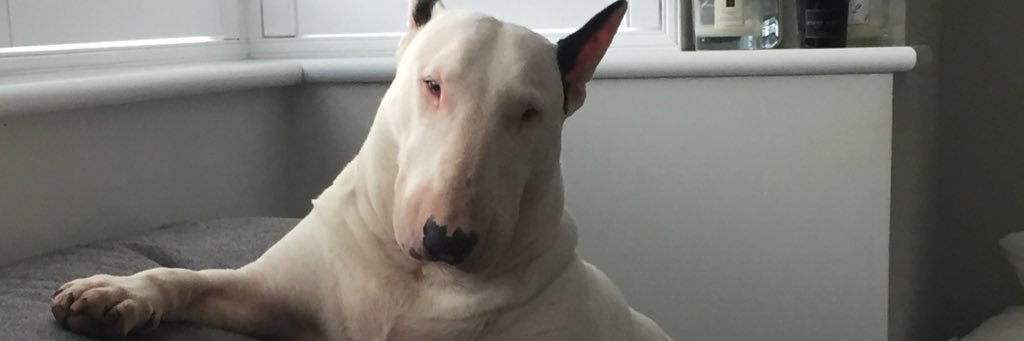 cbrnev's profile banner image
