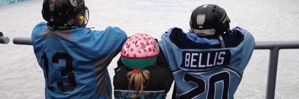 brybellis Profile Banner