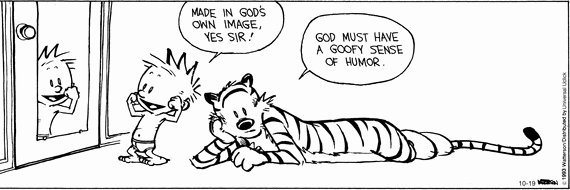 Dulce Maria Merino banner