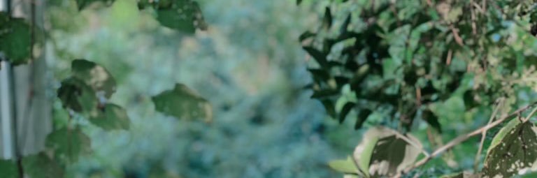 humbertom_'s profile banner image