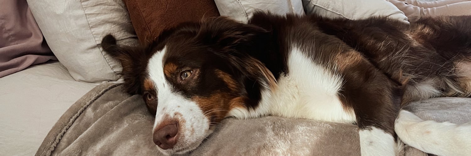 kitty glover 🧚🏼 banner