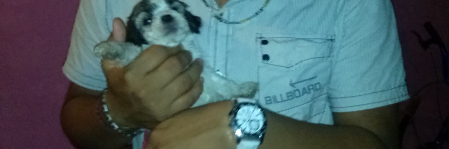 DanielRMota's profile banner image