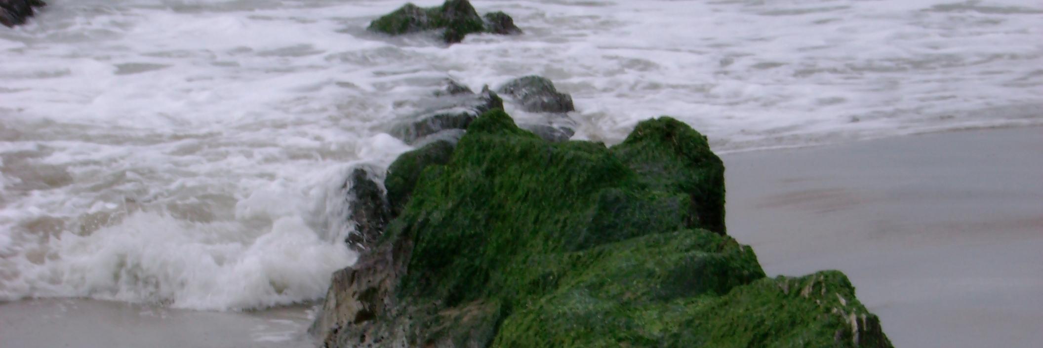 Geoduck_Pac's profile banner image