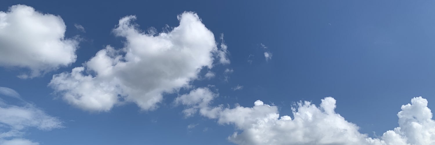 peachpeacepit's profile banner image