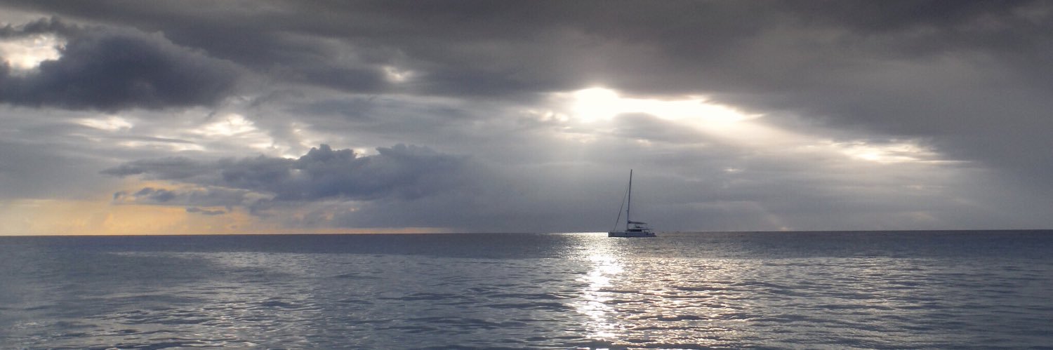 SueWalker4's profile banner image