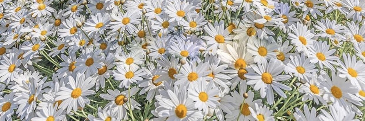 jakivalenxa's profile banner image