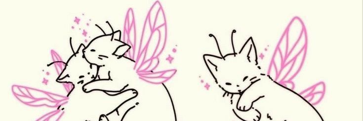 silkspectrw's profile banner image
