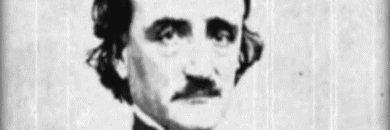 Colleoptera's profile banner image