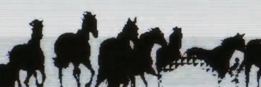 Alexiss_db's profile banner image