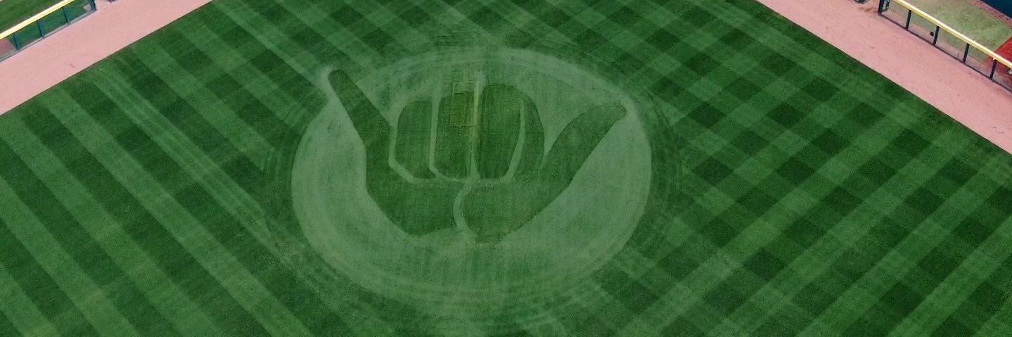 Colin Sesler banner