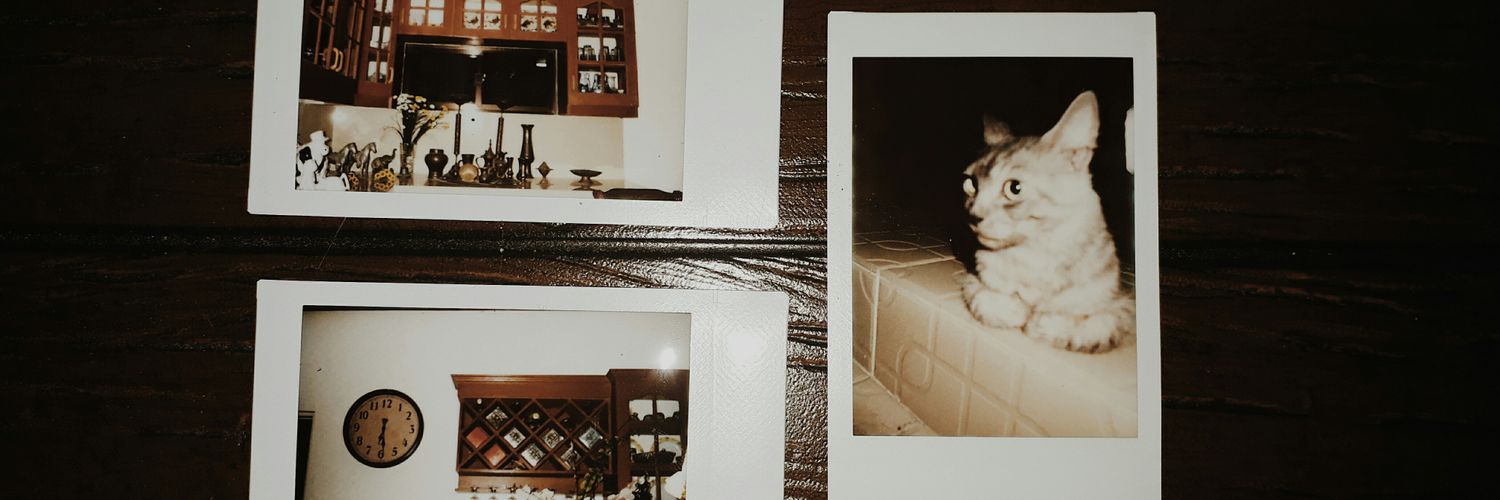 aritatrish's profile banner image
