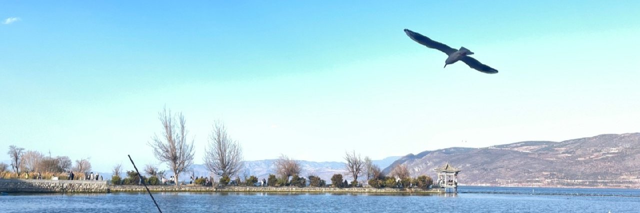 cythara_2011's profile banner image