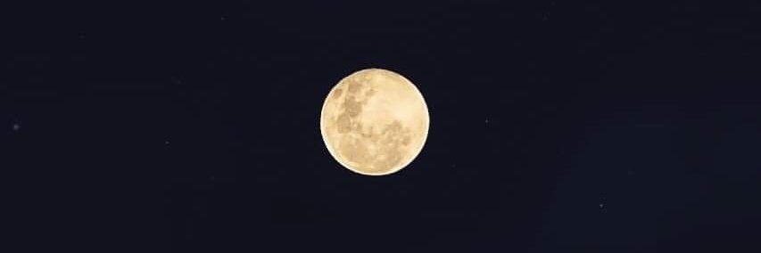 digoxinII's profile banner image