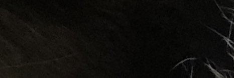 spikenizzle_'s profile banner image