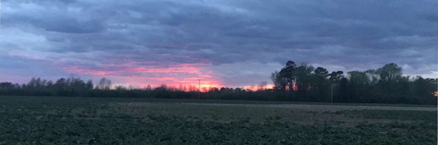 Michelle Walston💞 banner