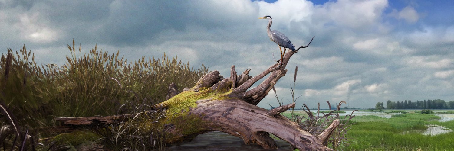 Heuvel_Michiel's profile banner image
