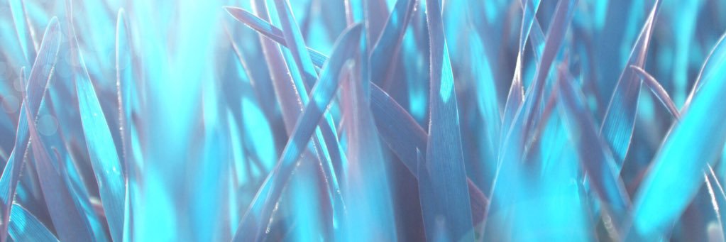 myaumur_'s profile banner image