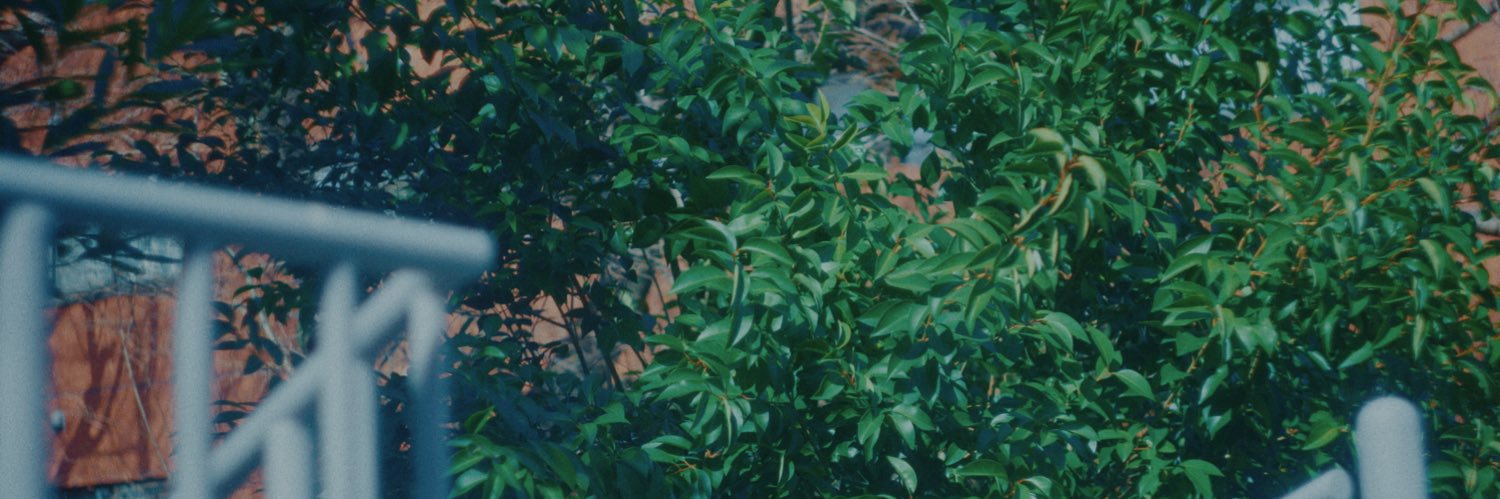 谷本マサノリ banner