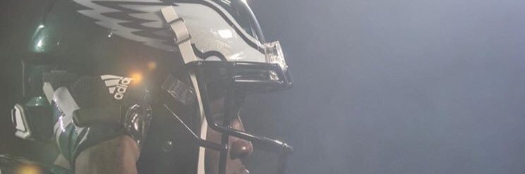 Dylan banner