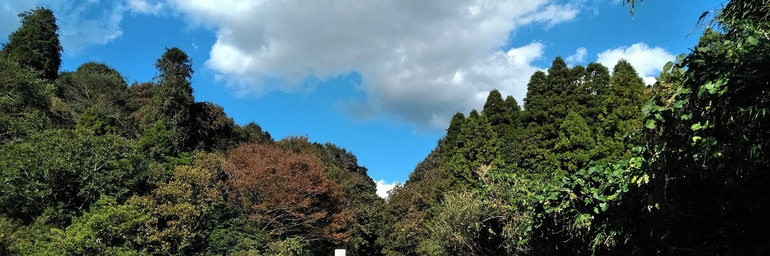 miekomatsuda's profile banner image