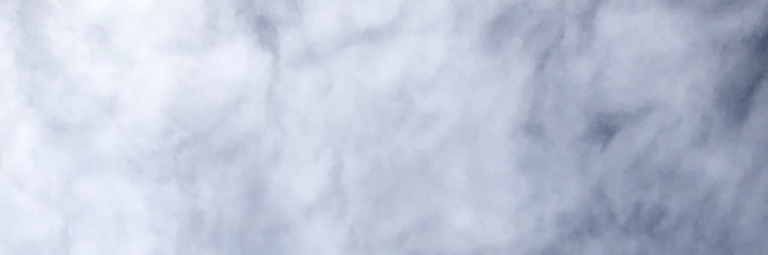 marinavp418's profile banner image