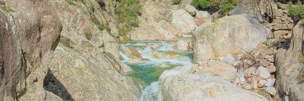 PNRHL Profile Banner