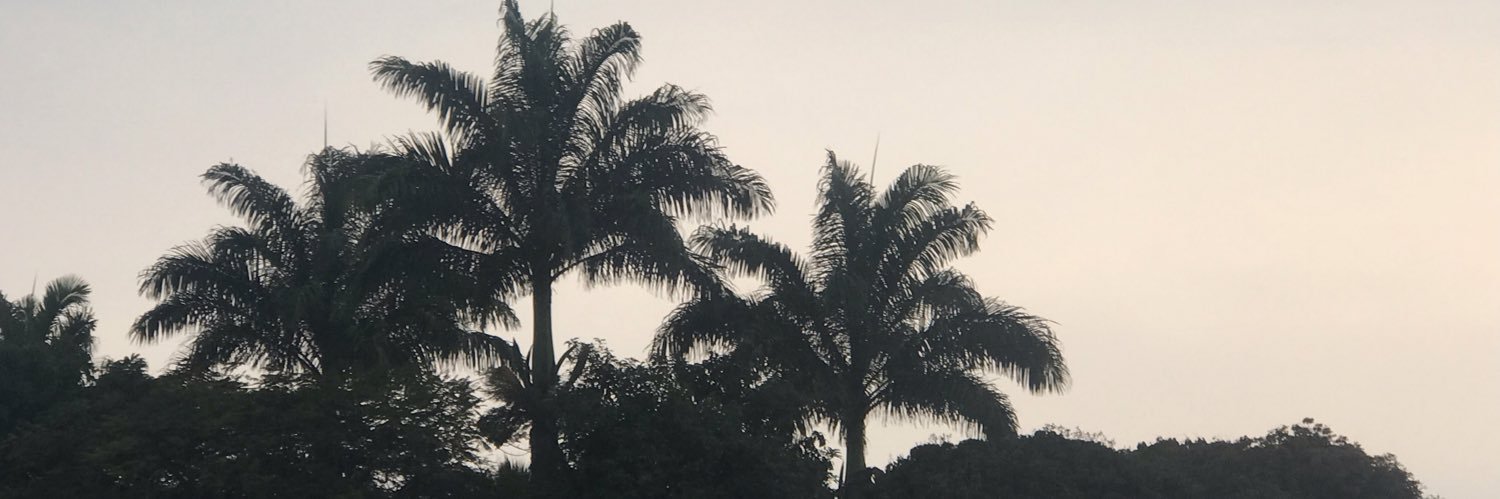 KayeleiC's profile banner image