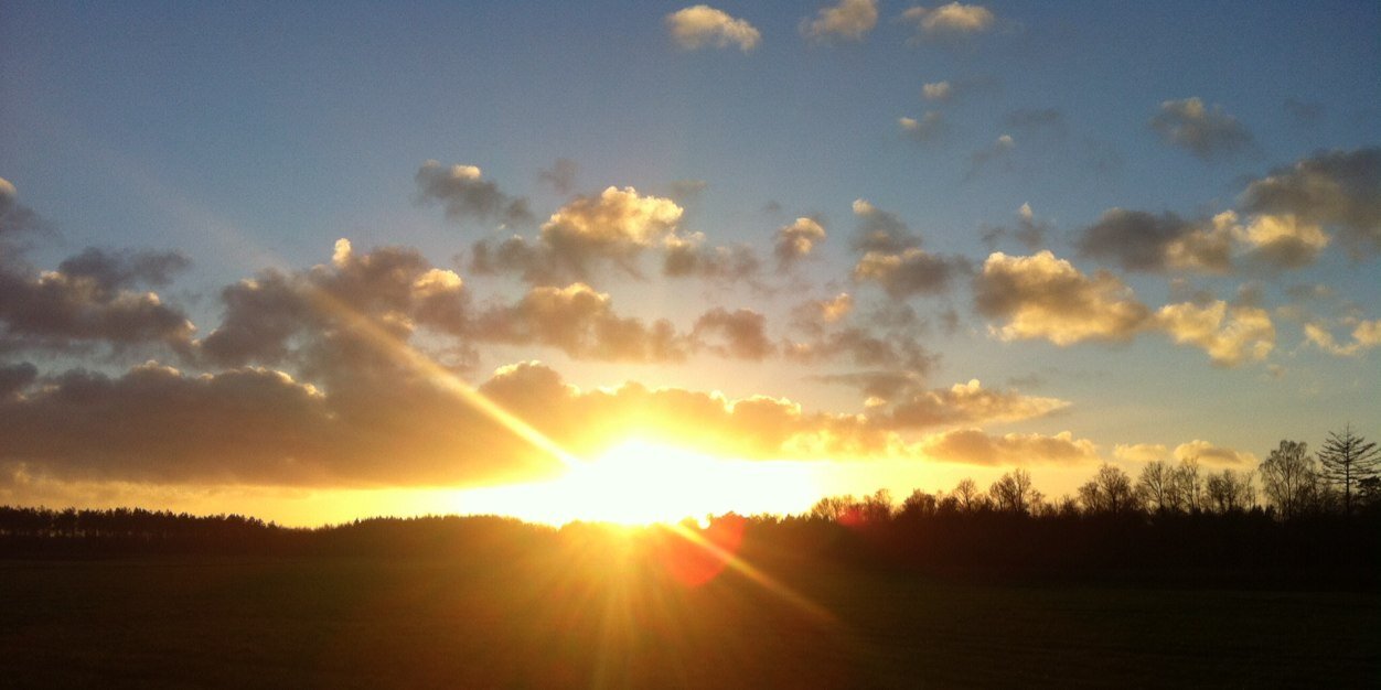 Relinde de Graaff banner