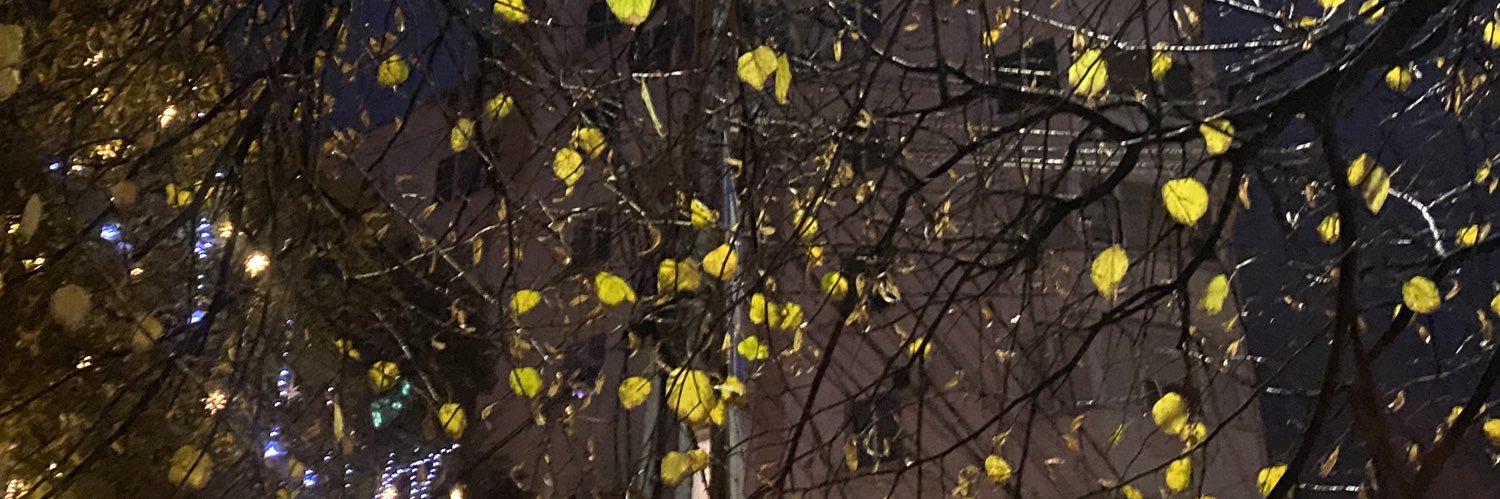 Анастасия Богачева banner