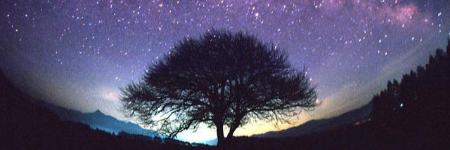 Adam Blaskett banner