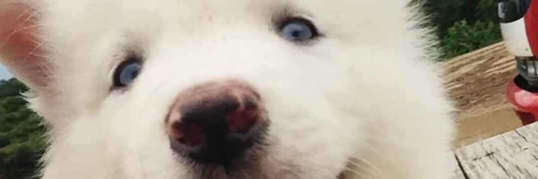 JeffVivas's profile banner image