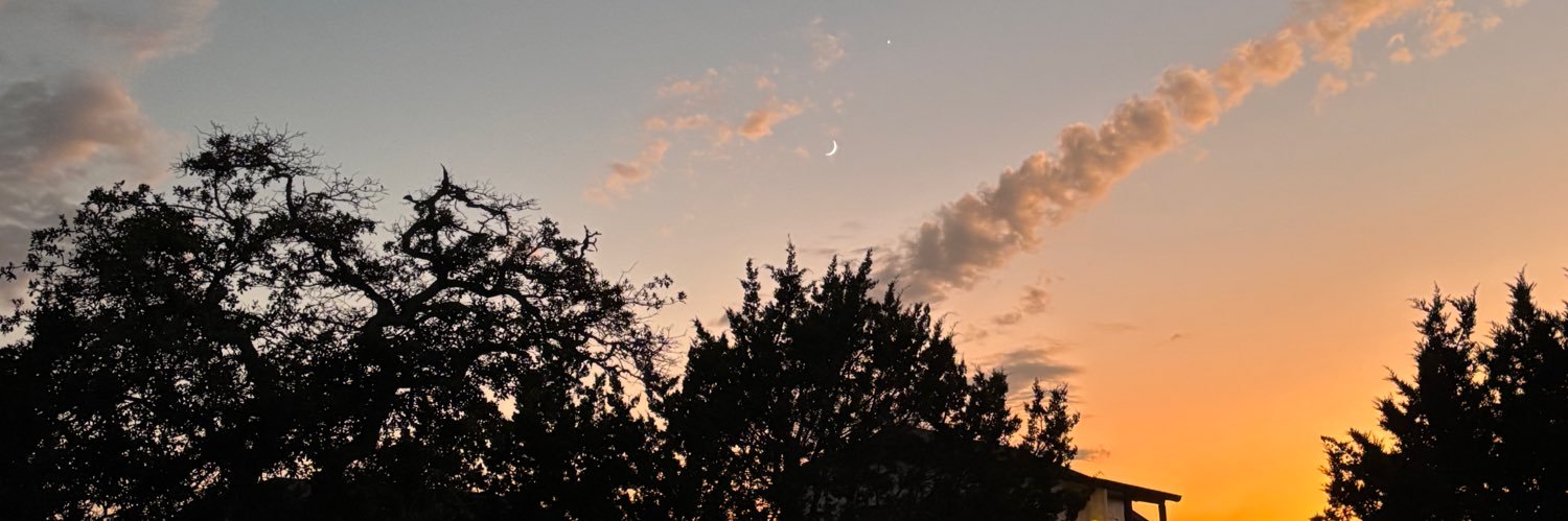 Lippoldt_Lisa's profile banner image