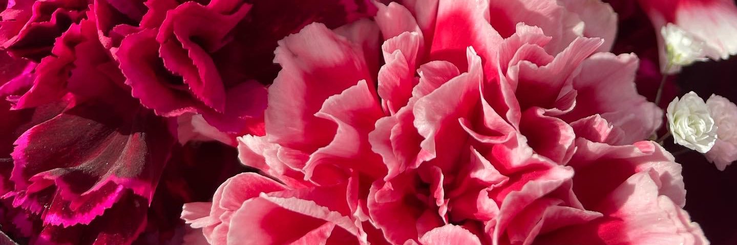 hazeldaisy_'s profile banner image