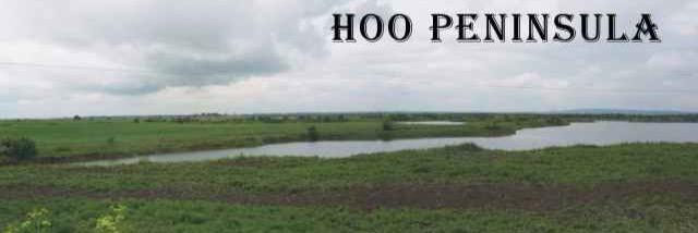 HooWhats's profile banner image