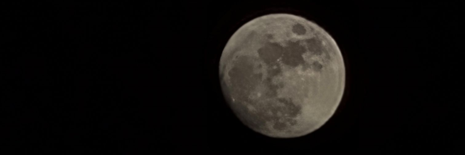 cecilrawr's profile banner image