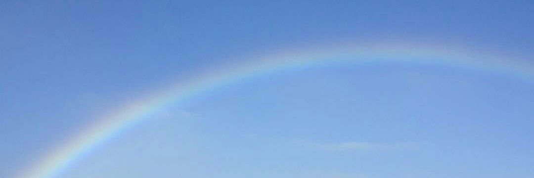 Dr Hannah Mottram banner