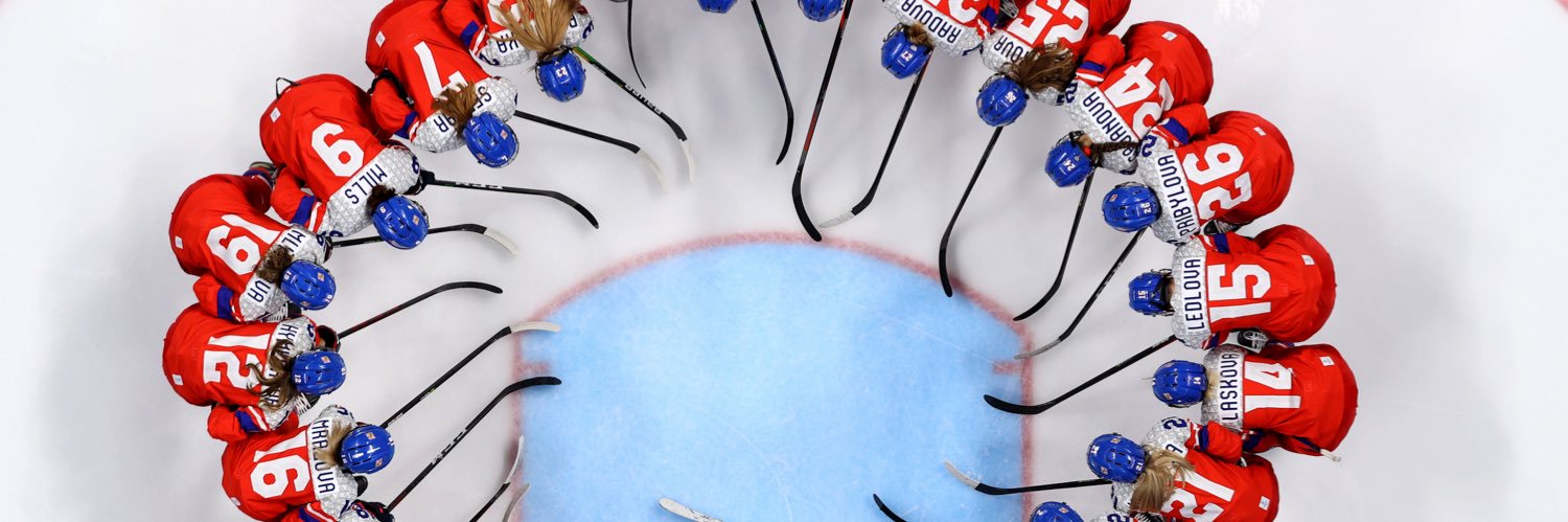 TSadilova10's profile banner image