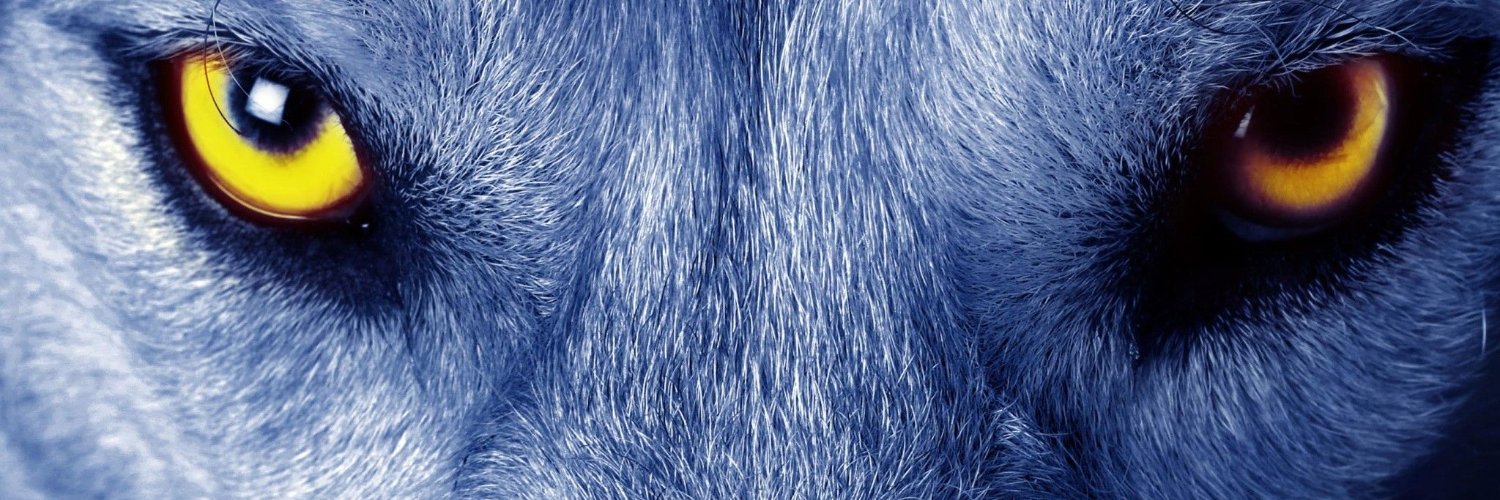 Börte banner