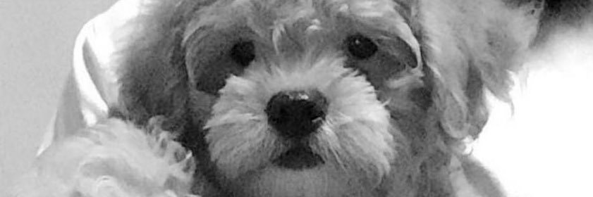mxrielaquinx's profile banner image