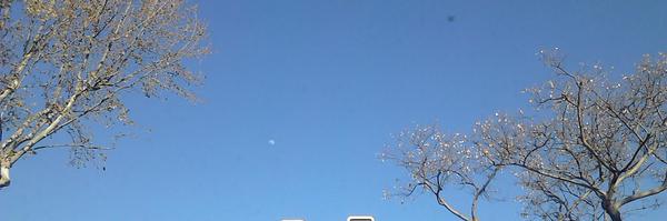 cleon_ULL Profile Banner