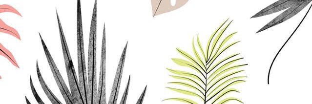 ximenitago's profile banner image