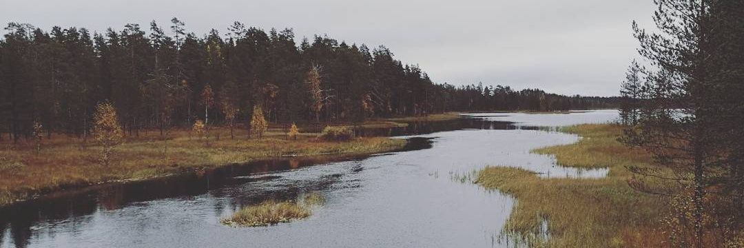 hanmarmer's profile banner image