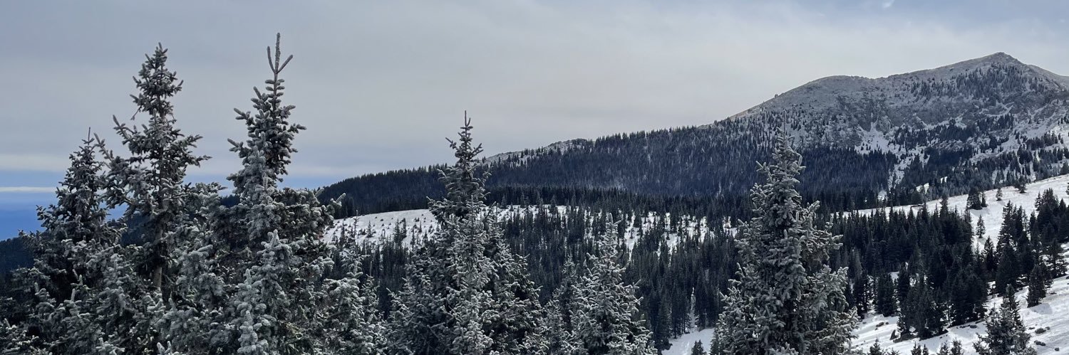 abbey_kelling's profile banner image