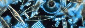 SecretGhostBand's profile banner image