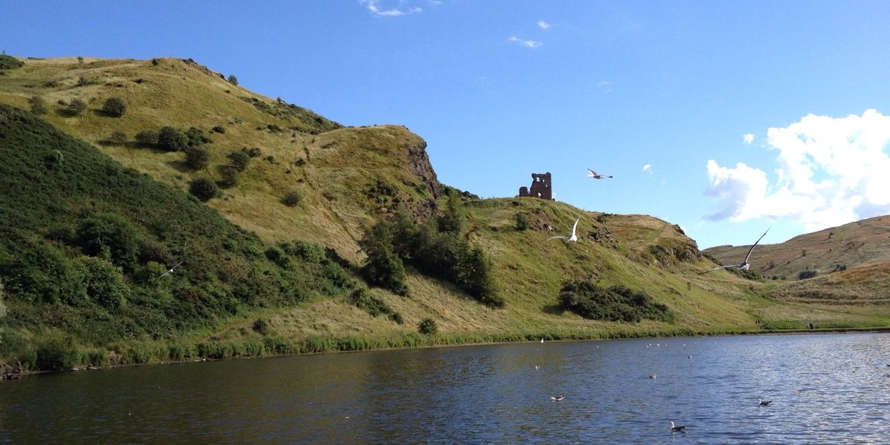 Mohammed Salim Laher banner