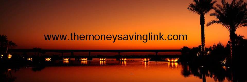TheMoneySavingLink banner