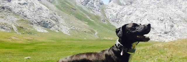 davidgm9's profile banner image