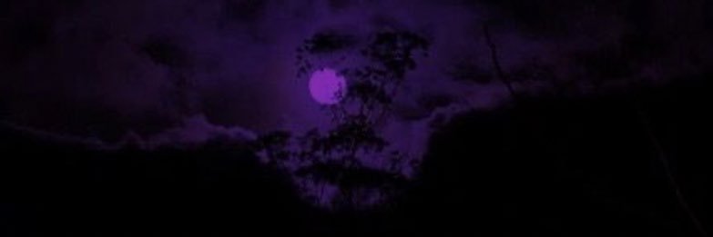 K_Dot1920's profile banner image