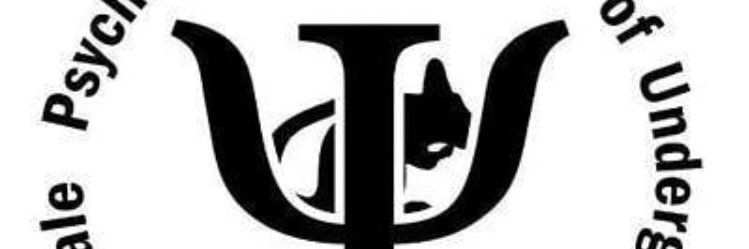 utmpause's profile banner image