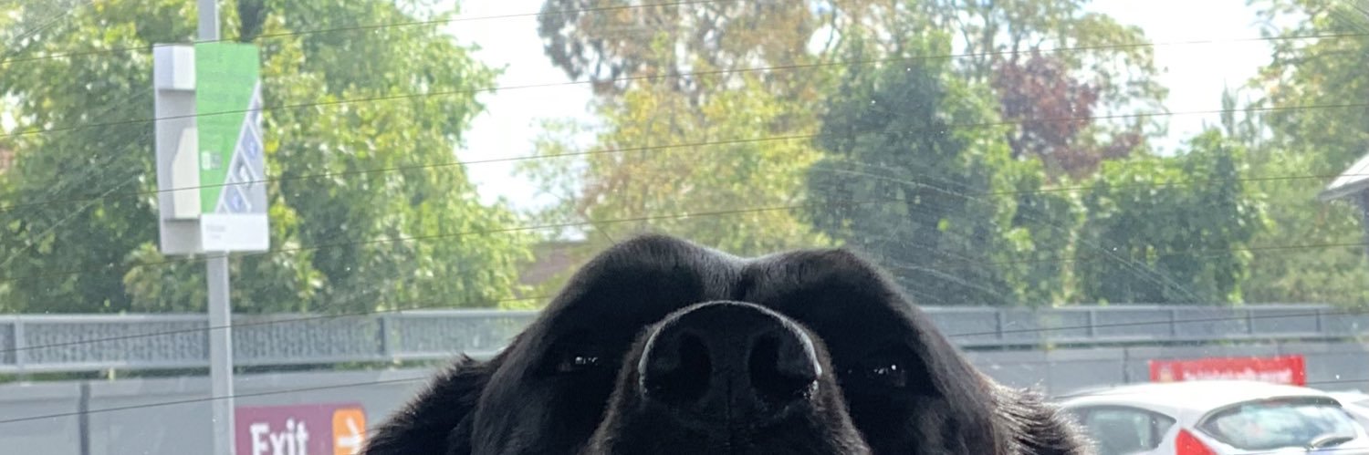 Andrew Devitt banner